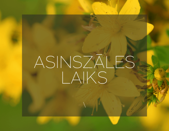 Asinszales-pirtsslotas-Reborn