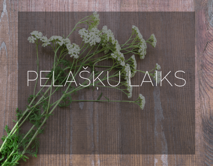 Pelaska-pirtsslotas-Reborn