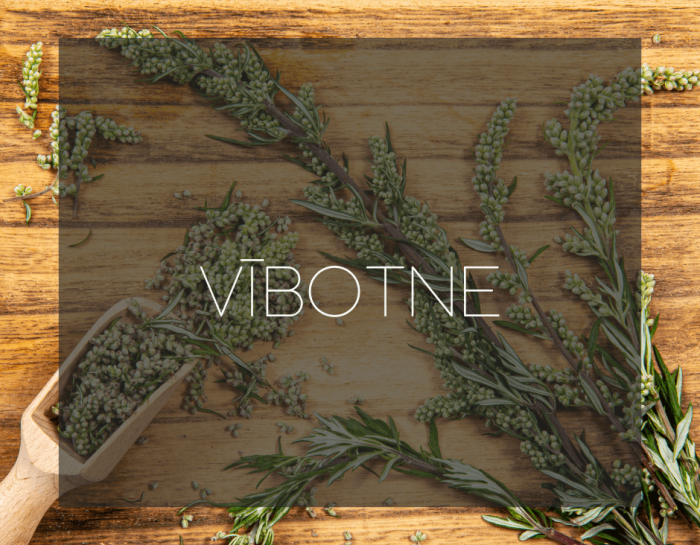 Vibotne-pirti-Reborn